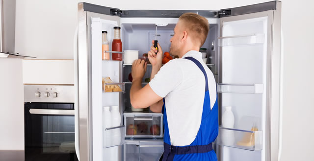 Fridge stopped cooling